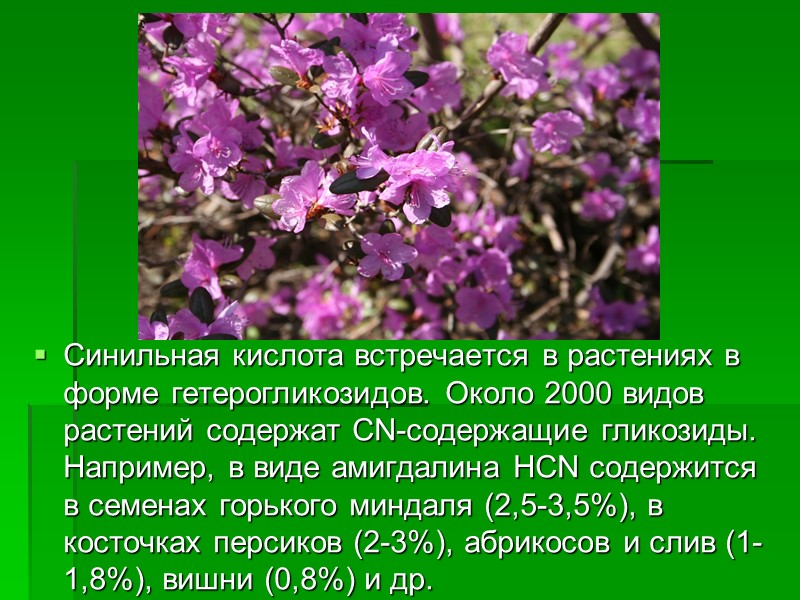 Синильная кислота встречается в растениях в форме гетерогликозидов. Около 2000 видов растений содержат CN-содержащие